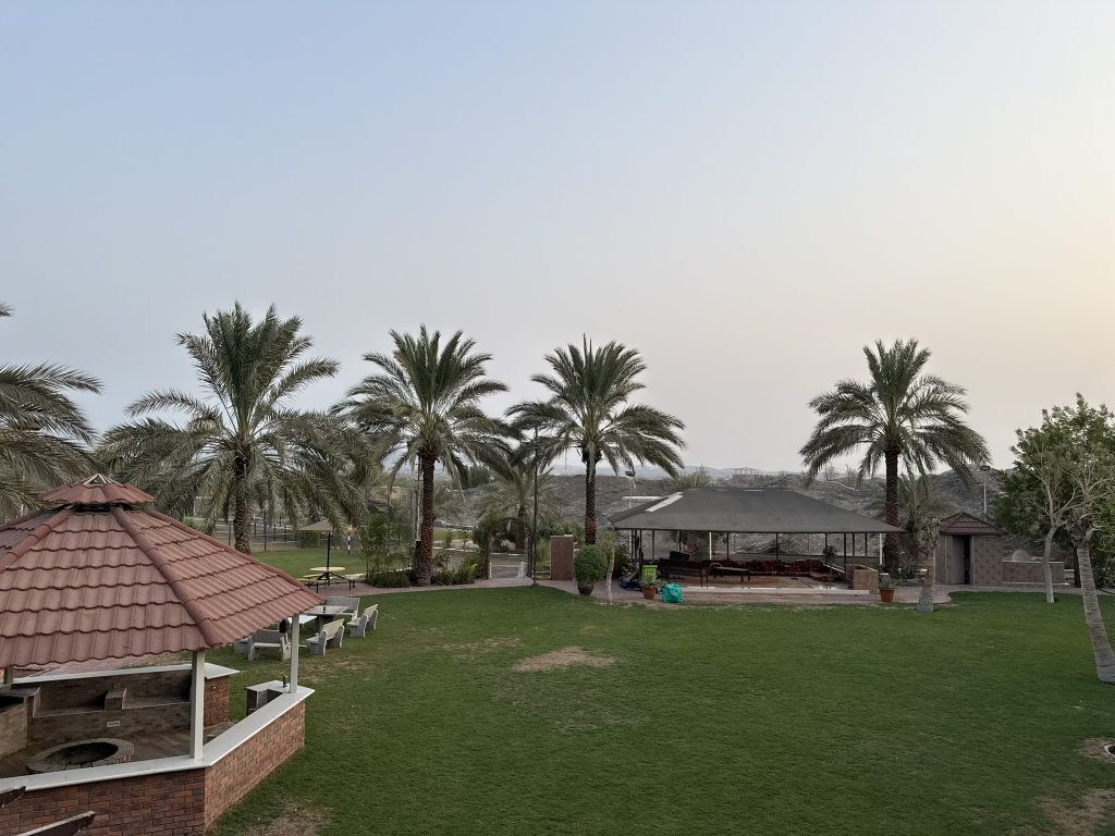 Beautiful Palm View With Pool & Garden