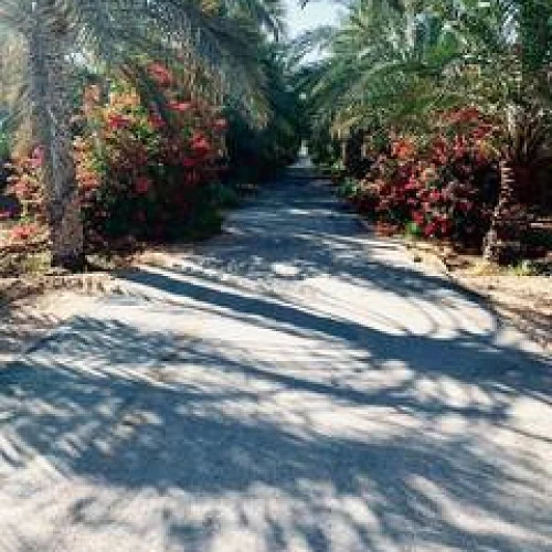 Farmhouse in Fuj by waleed