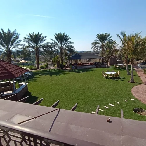 Beautiful Palm View With Pool & Garden — Photo 2