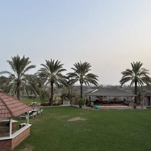 Beautiful Palm View With Pool & Garden — Photo 12