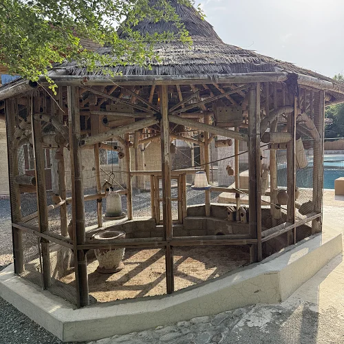 Exclusive Bamboo Villa & Private Pool in RAK — Photo 19