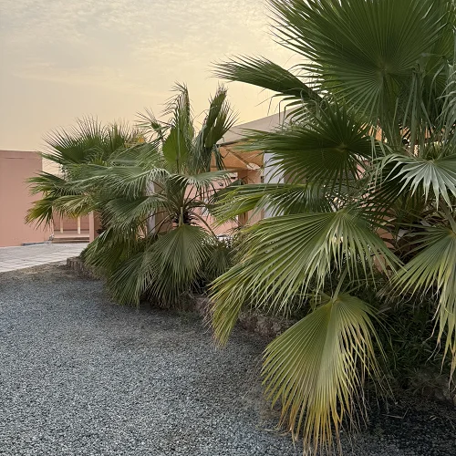 Mountain View Farm Stay with Covered Pool — Photo 20