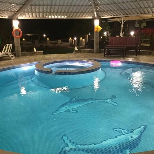 Beautiful Palm View With Pool & Garden — Photo 34