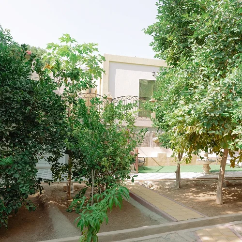 Luxury Mountain Farmhouse in Hatta