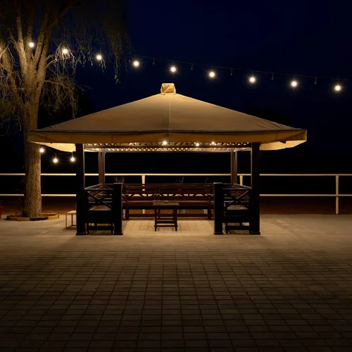 Free Horse Riding And  Luxurious Rooms