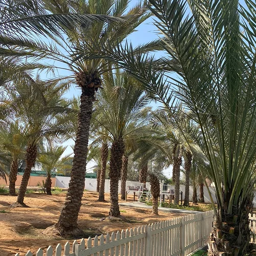 Luxury Two-Bedroom Adventure Farmhouse