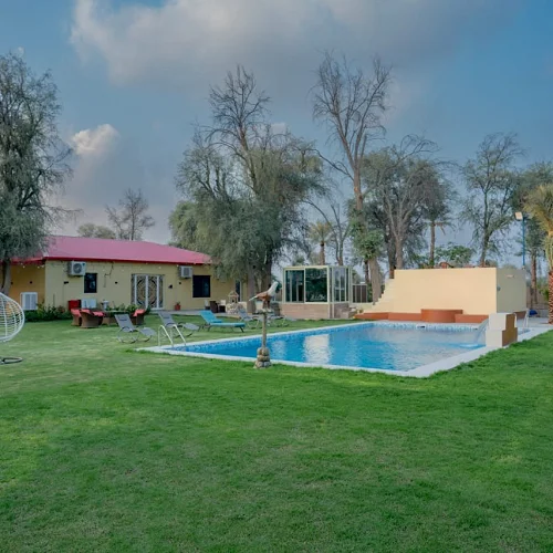 Free Horse Riding And  Luxurious Rooms