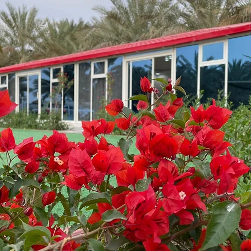 Luxury Two-Bedroom Adventure Farmhouse