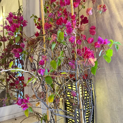 Spacious 3-Bedroom With Wide Pool